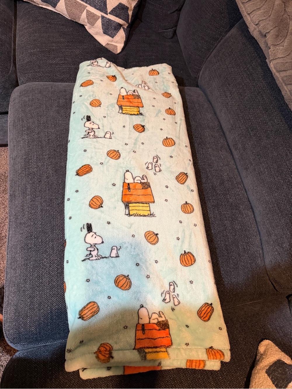Light Blue Pumpkin Print Plush Blanket twin size - Picture 2 of 3